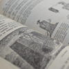 Grado Medio - Imagen 2
