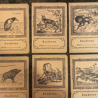 Cuadernos